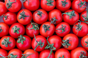 Group of delicious red tomatoes, summer tray market farm full of organic vegetables, top view pattern, selective focus, agriculture background