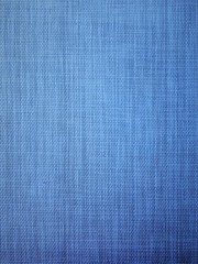  close-up of a decorative wall with bokeh effect and characteristic rough porous texture, abstract dark and light spots on a classic blue background