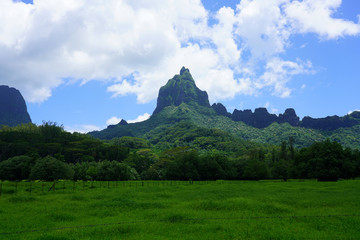 Green landscape view on the island of Moorea near Tahiti in French Polynesia, South Pacific