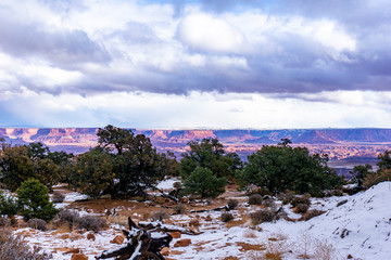 Winter Landscape