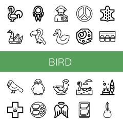 Set of bird icons