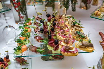 Catering. Off-site food. Buffet table with various canapes, sandwiches, hamburgers and snacks.