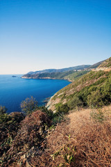 Corsica