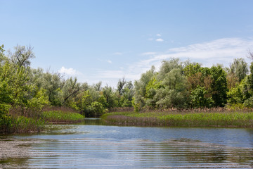 Fototapeta na wymiar Banks of the Kherson River, Ukraine