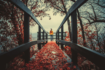 Girl od the bridge in the autumn  - obrazy, fototapety, plakaty