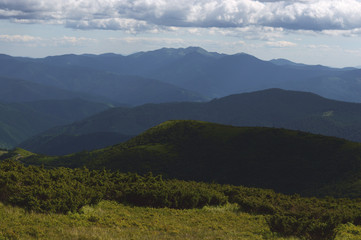 Fototapeta premium Beautiful mountain landscape, with mountain peaks covered with forest and cloudy sky.Ukrainian Carpathian Mountains