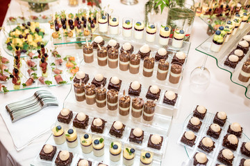 Catering. Off-site food. Buffet table with various sweet chocolate canapes, sandwiches and snacks with curd, strawberries, cheese and mint