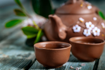 Tea and spring blossom