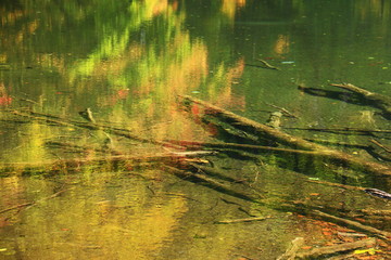 八甲田の秋　蔦七沼の景色　