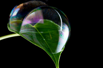 soap bubbles close up in the detail - macro photography