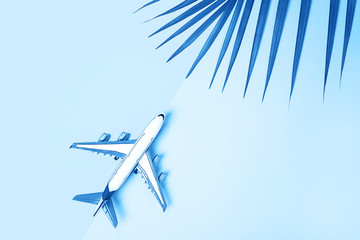 Minimal layout with model airplane and tropical palm leaf on classic blue background.