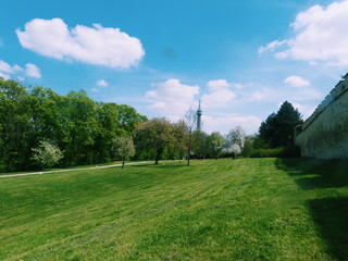 Summer Meadow in the middle of the city - Prague, Czech 