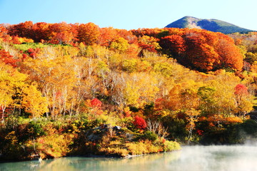八甲田山の秋　酸ヶ湯温泉　紅葉に包まれる地獄沼から高田大岳を望む