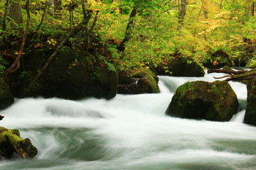 秋の奥入瀬渓流　