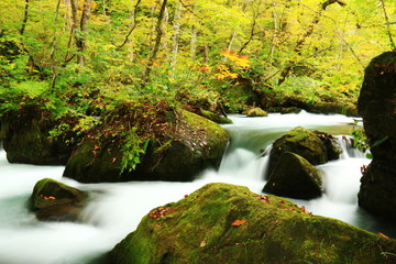 秋の奥入瀬渓流　