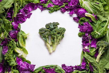 Broccoli framed by lettuce and cabbage