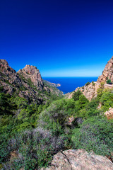 Fototapeta na wymiar Calanchi di Piana - Corsica