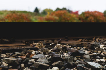Train tracks in the fall