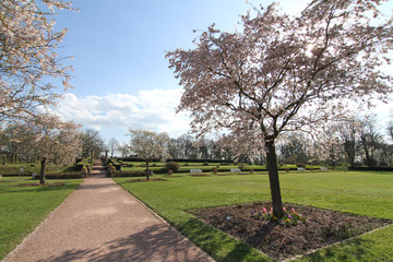 Park im Frühling