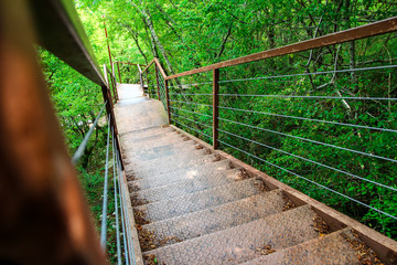 A long staircase in a green forest to overcome the route over the abyss