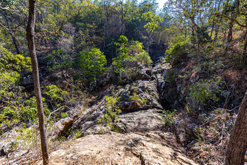 autumn in the forest
