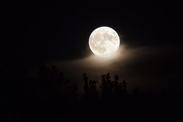 Fototapeta na wymiar Full Moon - Harvest Moon in Night Sky