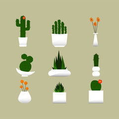 Cacti Collection 3