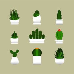 Cacti Collection 2
