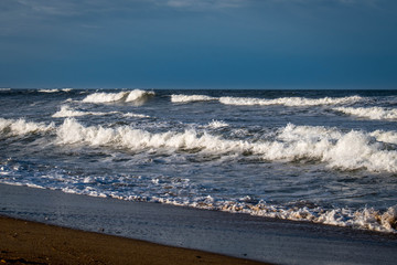 Beach at Plum Island Massachusetts 