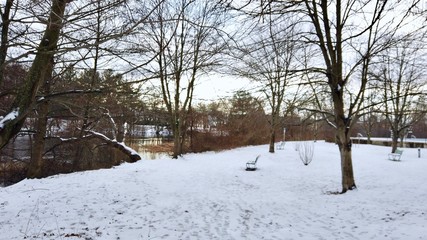 Naklejka premium winter in park