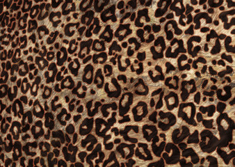 abstract leopard skin texture design