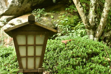 lantern in the garden