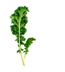 Fresh kale leaves isolated on white background. Flat lay. Food concept