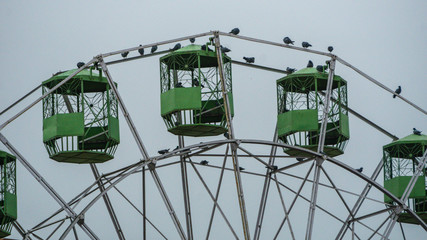Green ferris wheel 