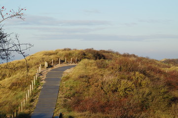 Landscape with dunes