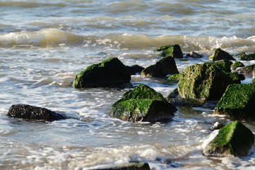 rocks in the sea