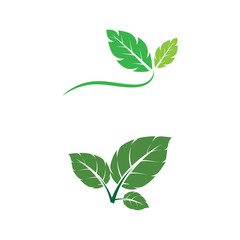 Leaf Mint Logo Template vector symbol