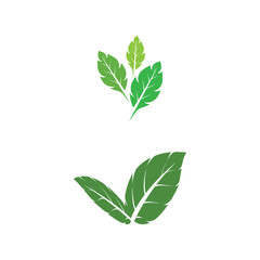 Leaf Mint Logo Template vector symbol