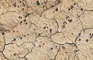 Cracked dry soil. Desert, arid climate. Natural backgrounds