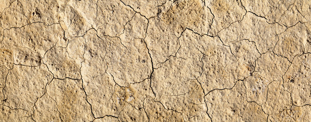 Cracked dry soil. Desert, arid climate. Natural backgrounds