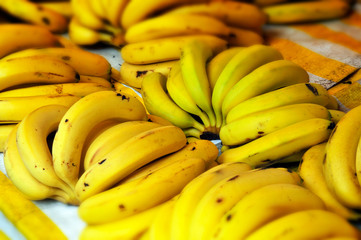 Bunches of bananas