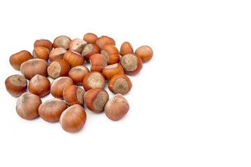 Hazelnuts on a white background