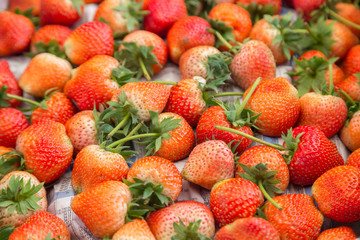 Fresh strawberries from organic farm