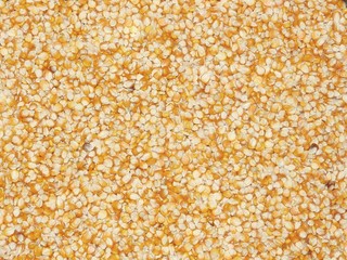 Yellow corn kernels on a white background
