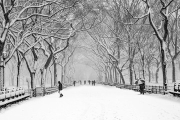 Fairy winter park in a fabulous city..Central Park - New York City during a snowstorm