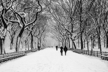 Fairy winter park in a fabulous city..Central Park - New York City during a snowstorm