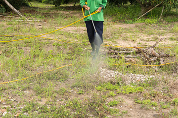 Spraying herbicide