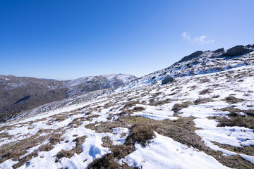 Neve sul Bruncuspina, montagna sarda.