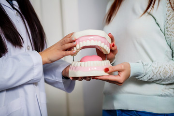 Dentist and patient holding dental jaw model. close-up