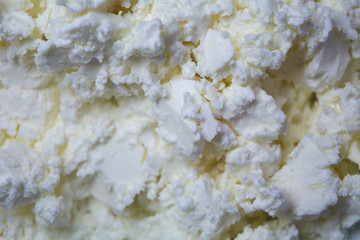White cheese texture. Cheese background. 